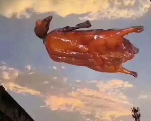 &ldquo;天鴿&rdquo;登陸了又怎樣，智彤印刷正常發(fā)放福利！